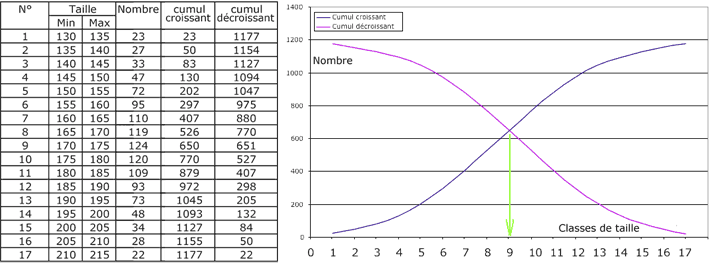 term11